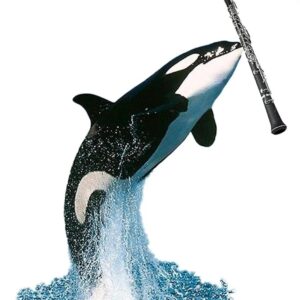 Ballena oboe