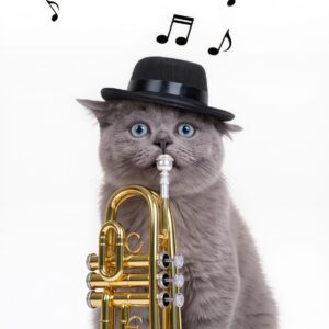 Trompeta gato